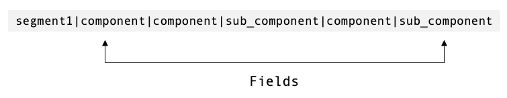 fields-segments